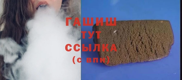 прущие грибы Алзамай