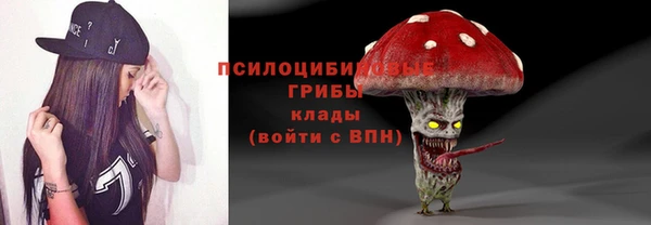 прущие грибы Алзамай