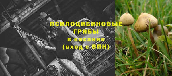 прущие грибы Алзамай