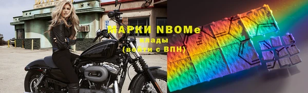 прущие грибы Алзамай