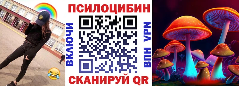 где купить наркоту  Томилино  Галлюциногенные грибы Cubensis 